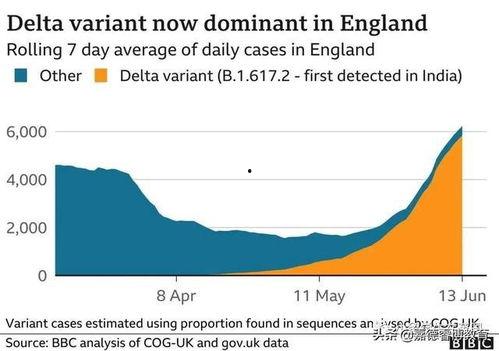 英国爆料病毒事件最新